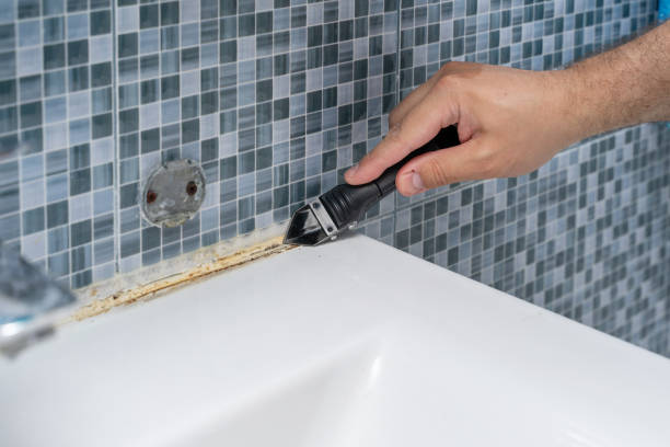 Best Mold Testing  in Halsey, OR