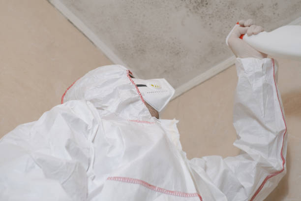 Best Mold Testing  in Halsey, OR